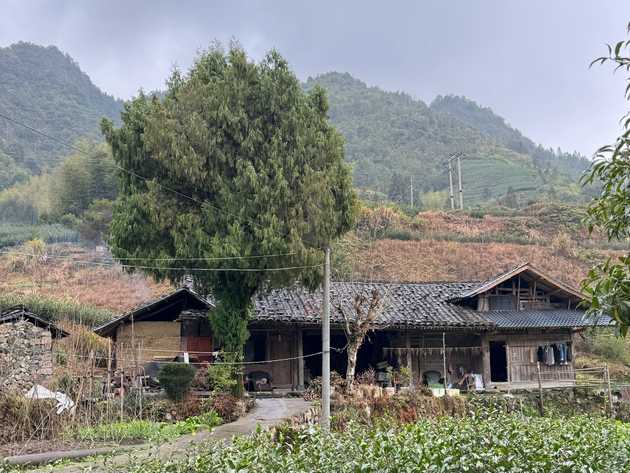 Altes Holzhaus