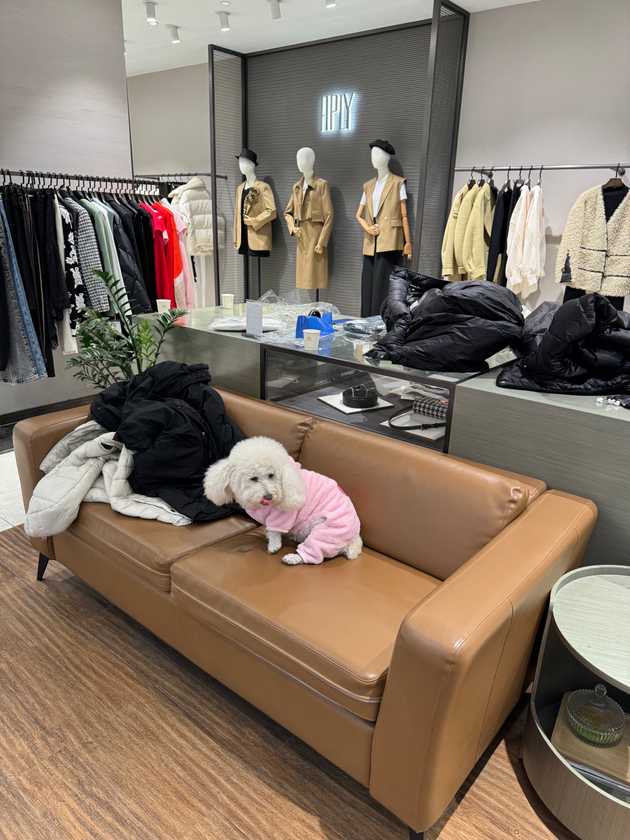 Shopping