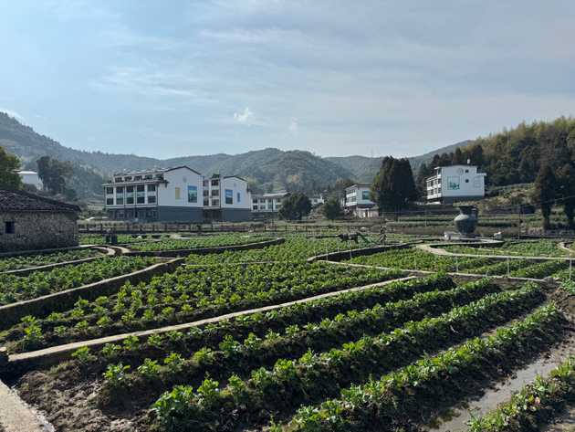 dorf