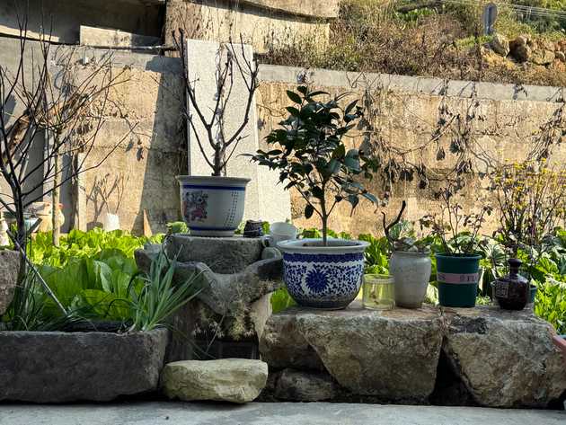 garten2